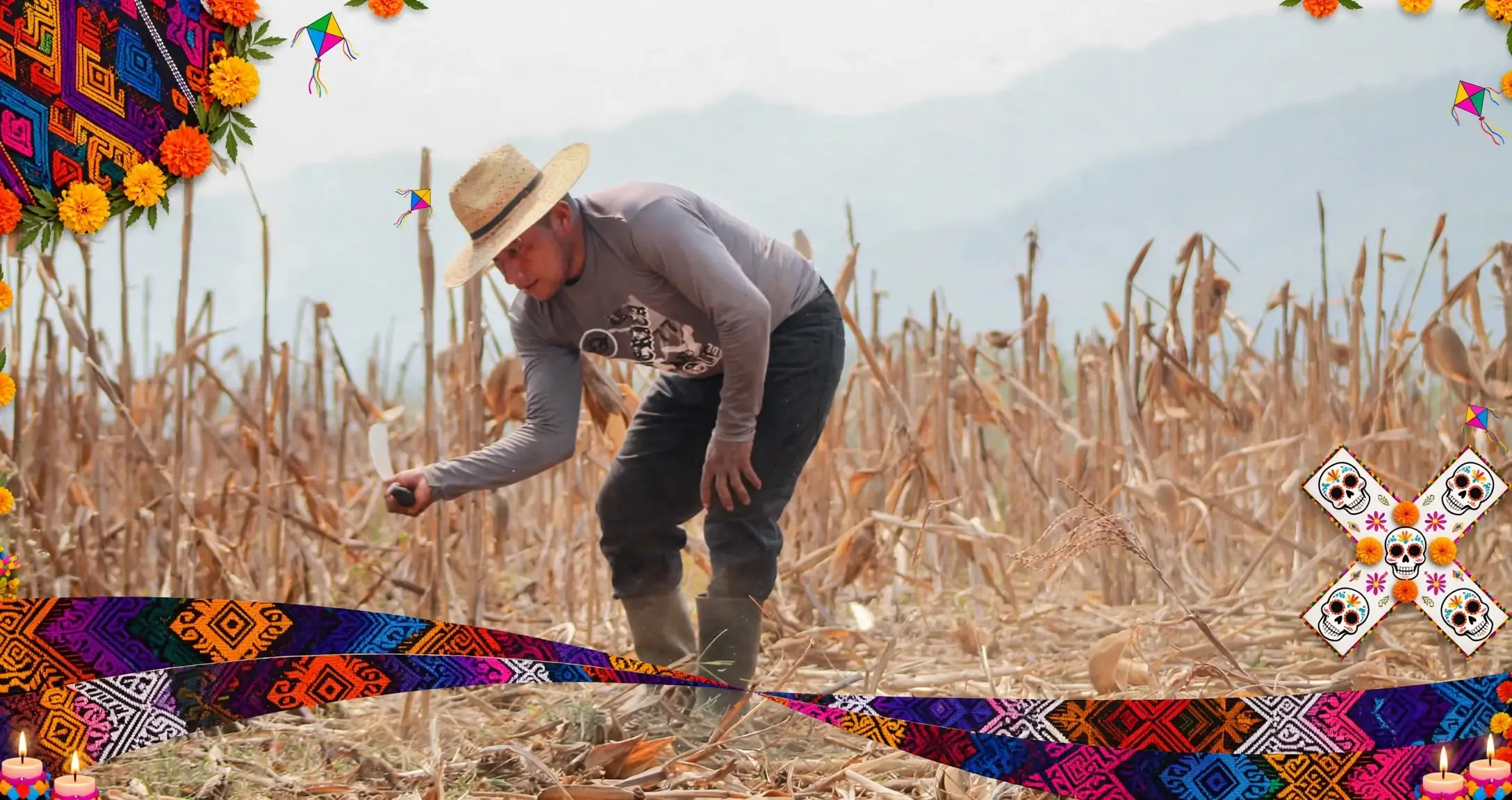 Crédito para Agricultura